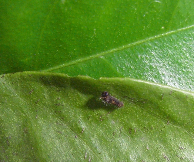 5a96490e.jpg