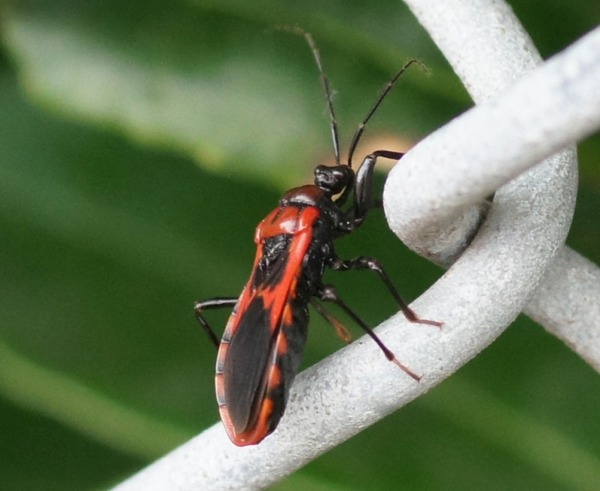 �������ޥ�������03