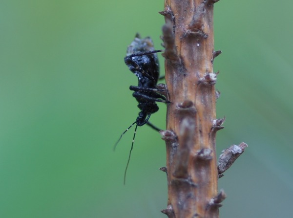 ��˥�������03