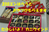 IMGP7567のコピー