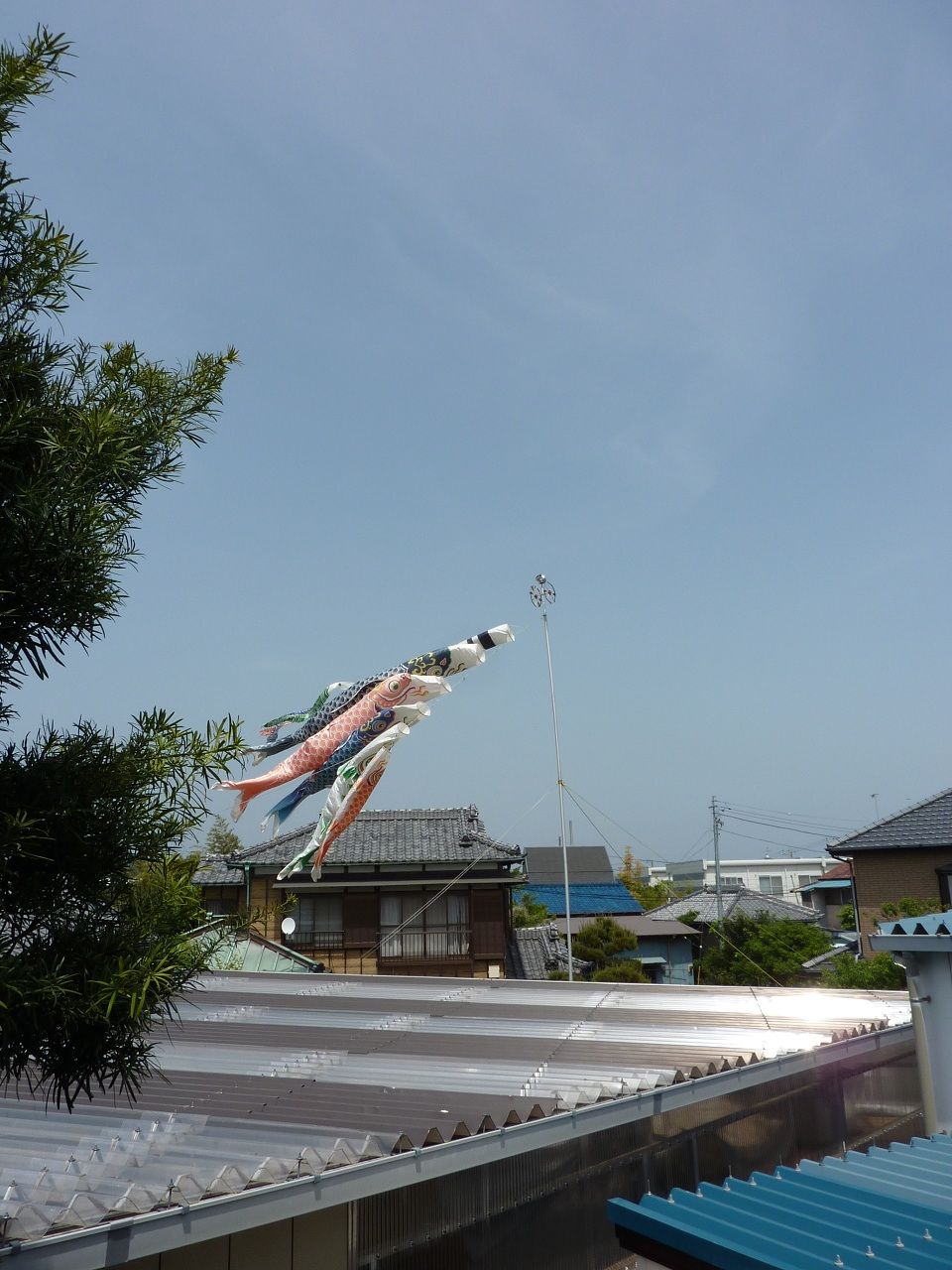 2011ǯ5·î4Æü¹ç½É