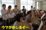 IMGP1078のコピー