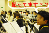 BlogPaint