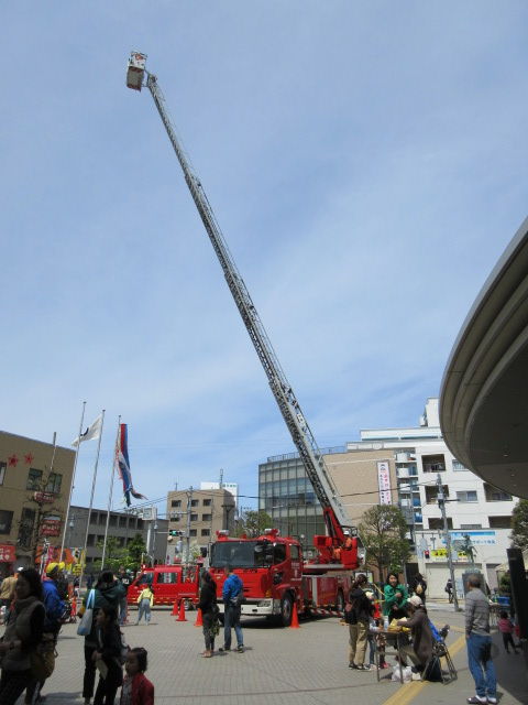 P4290041