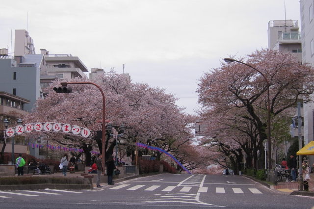 20150404_phil_1