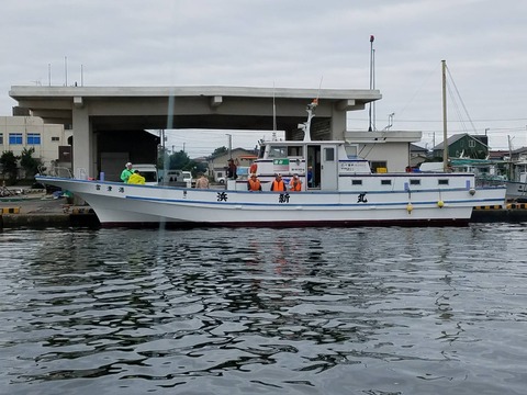 S_8126202374178
