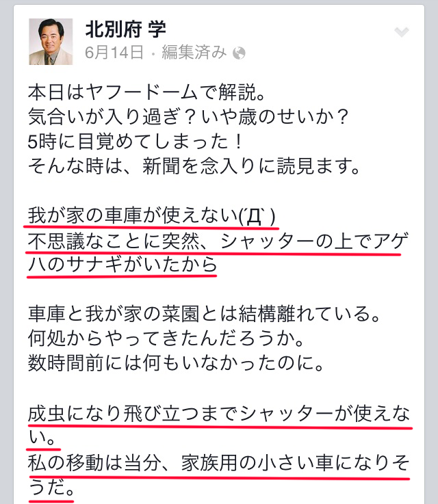 北別府サナギ_02