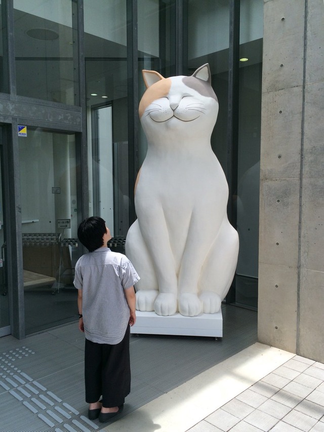 広島県尾道市猫まみれ展