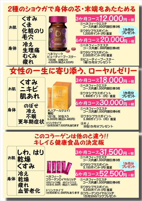 2017年春の 半年メート 裏面