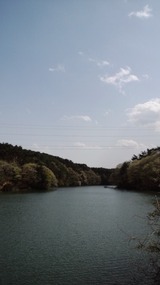 2911f648.jpg