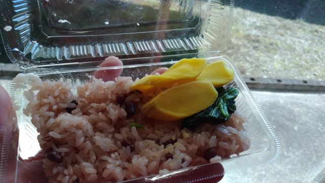 P_20190217_130724_vHDR_Auto