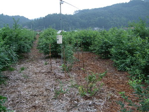 DSCF0958