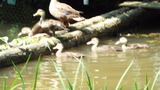 DSCF0304