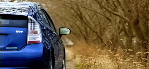 自動車が林へ入っていく