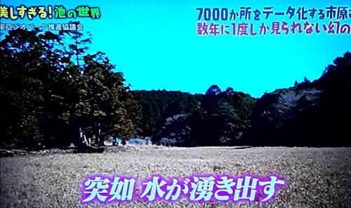 20190209_111911