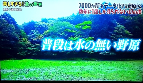 20190208_103406