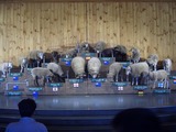 マザー牧場9