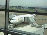 タイ国際航空・女装子&MTFブログ