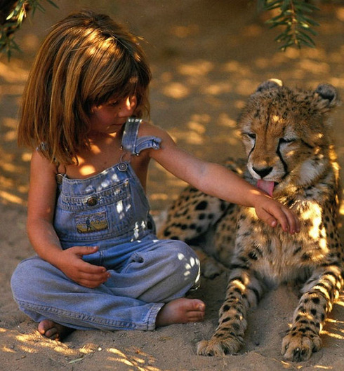 Tippi04