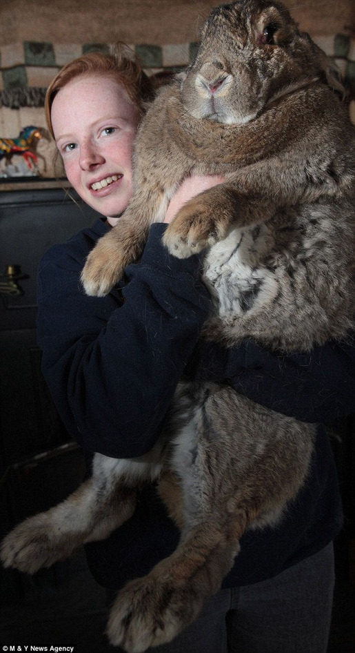 ultimate Easter bunny 01