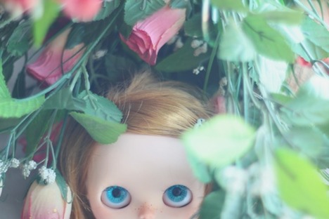secret_garden_ii_by_da_bu_di_bu_da