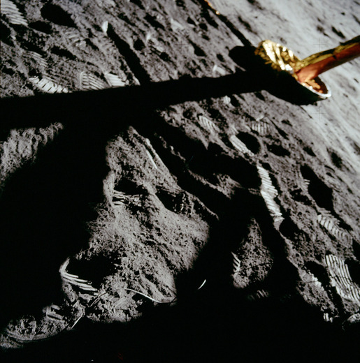Apollo24