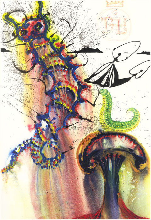 DALI1007