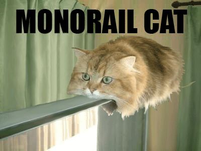 monorail_cat_zoom
