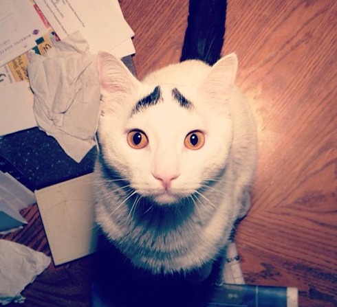 samhas_eye_brows_30