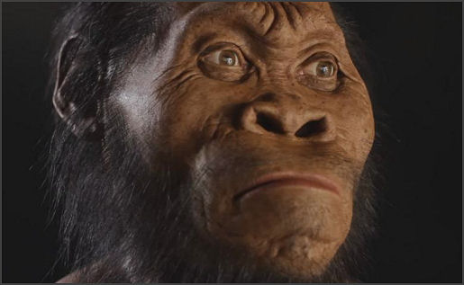 homo_naledi_01
