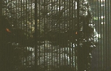 godzilla-2__130717050405__130717053617