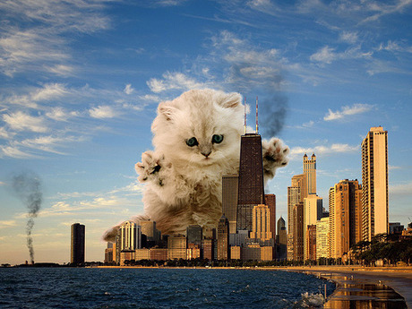 Catzilla_06