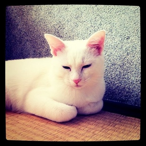 blog-bu_cat25