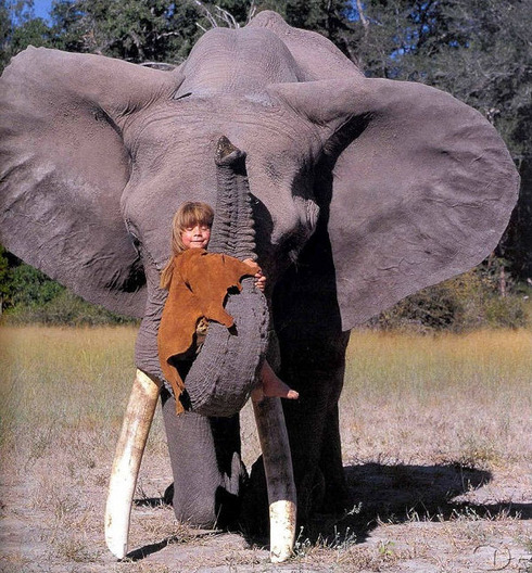 Tippi01