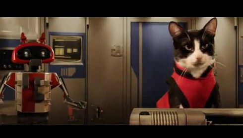 Cats in Space