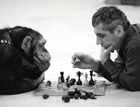 Chess