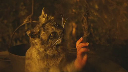 The Cat With Hands