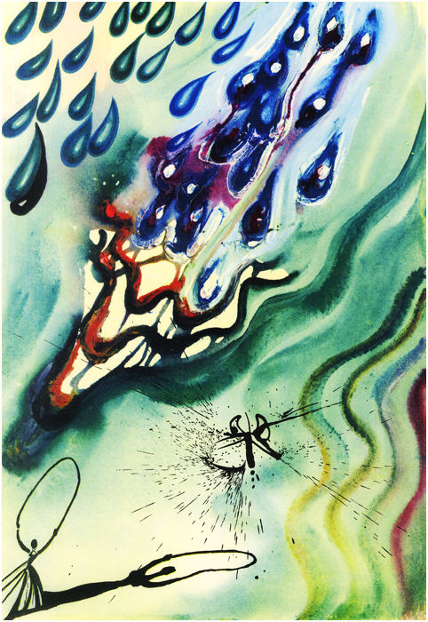 DALI1004