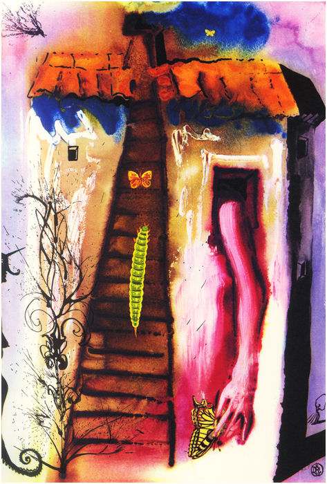 DALI1006