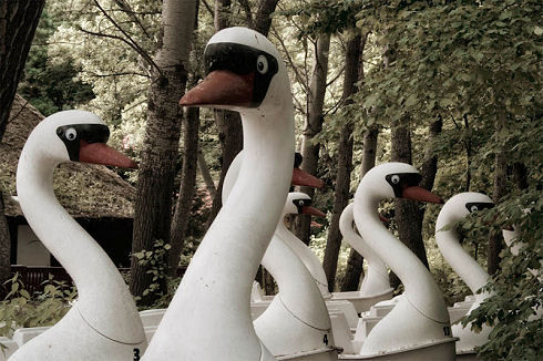 Surreal Abandoned Amusement Park in Berlin 12