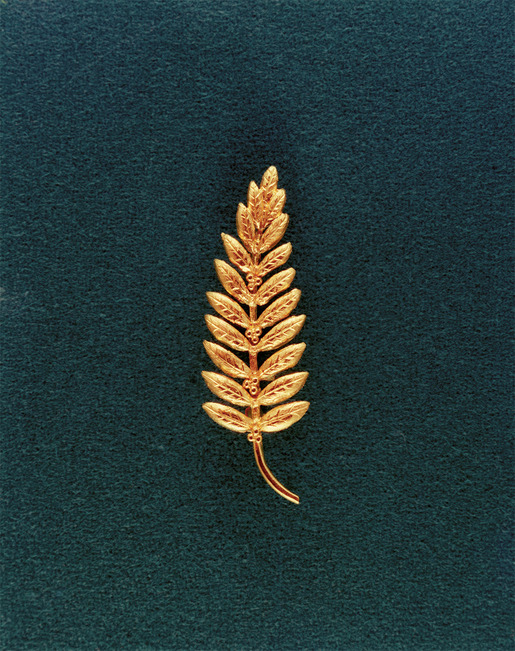 Apollo40