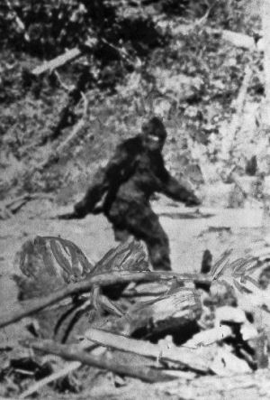 Yeti_bigfoot_2705147k
