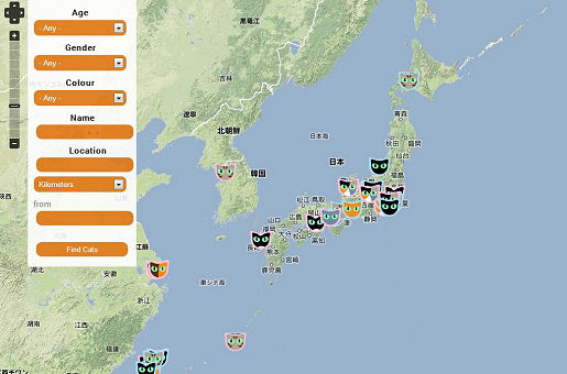 cat map-japan
