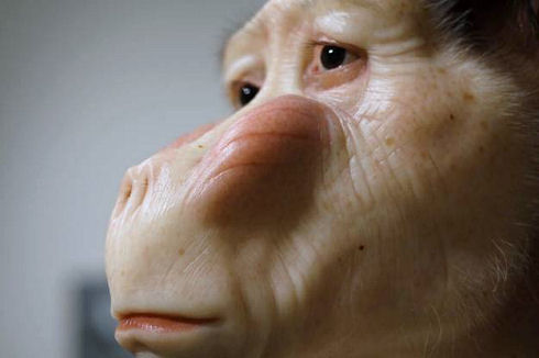 Patricia Piccinini 09