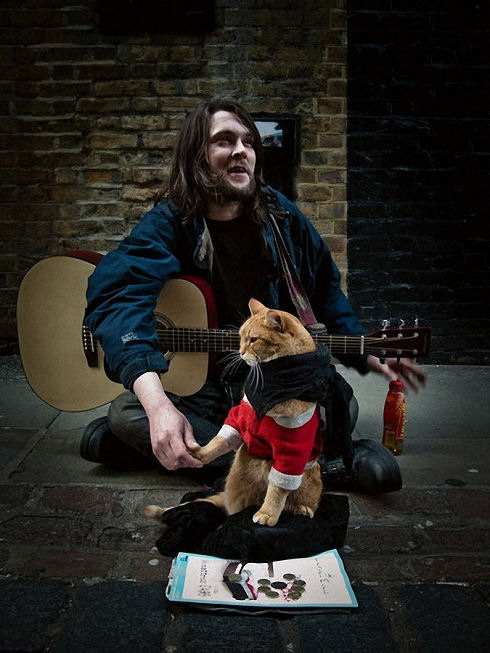 Bobthecat05