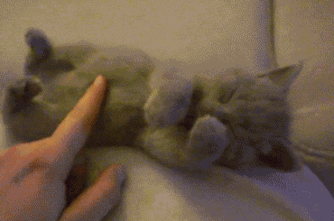 tumblr_laczg50AoU1qdsg3q