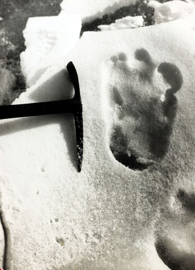 _Yeti_christies_fo_2705156k