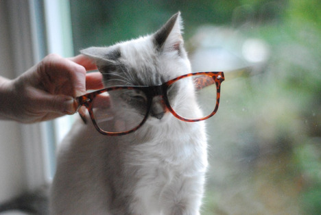 blog-bu_cat02