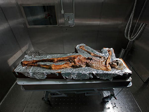 otzi-iceman-red-blood-cells-found-body