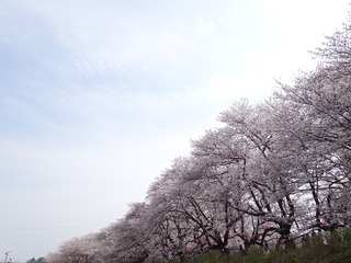 DSC07528_R